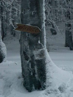 Mše na Hložci 2006 - zima